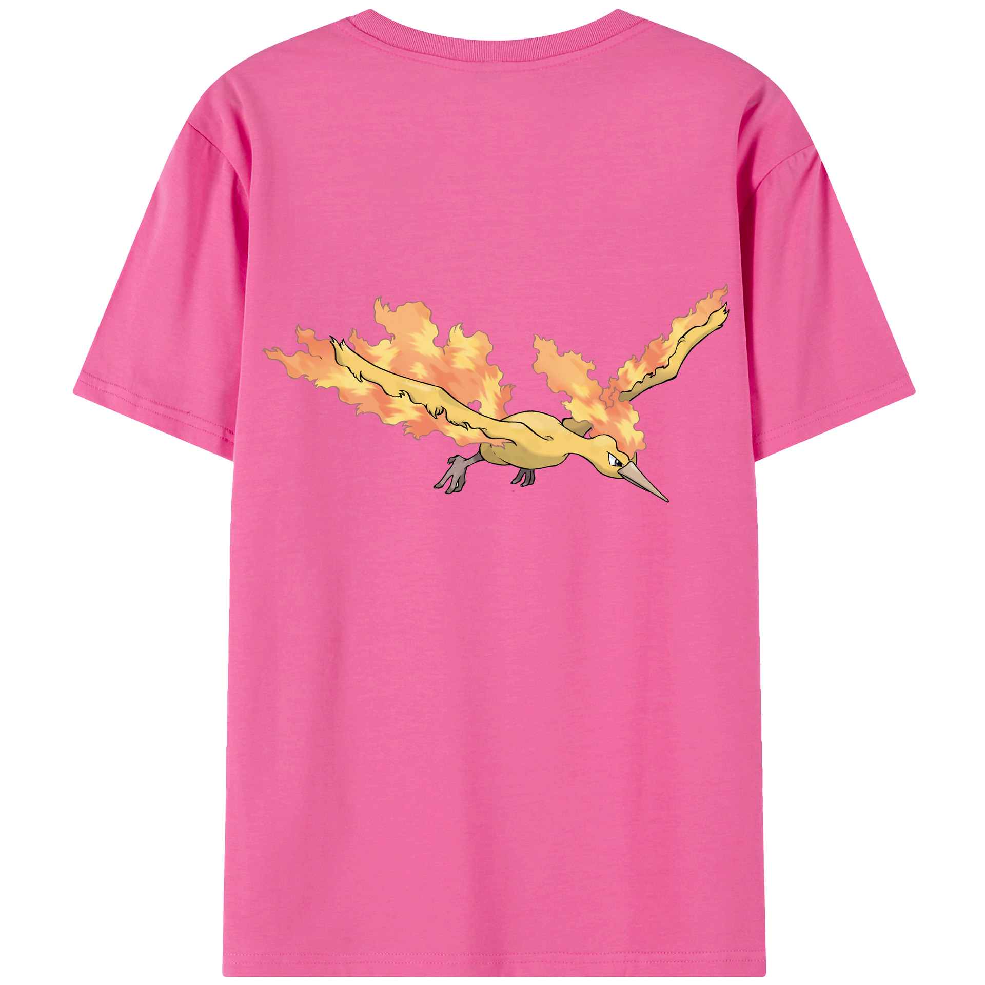（画像用） ポケットモンスター Pokémon レディース半袖Tシャツ(バックプリント)
